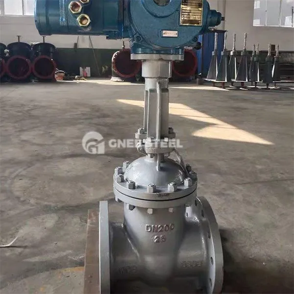 Electric actuated gate valve Electric actuated gate valve