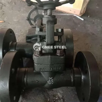 Apa perbedaan antara API 623 dan API 602