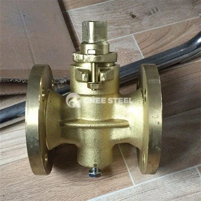 Katup plug dengan flush tunggal atau ganda